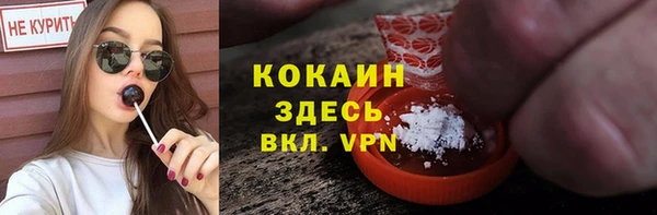 2c-b Богородицк