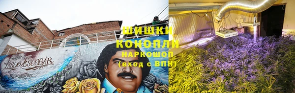 ПСИЛОЦИБИНОВЫЕ ГРИБЫ Бугульма
