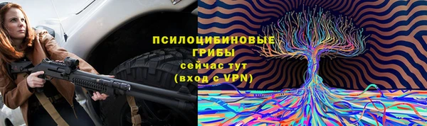 ПСИЛОЦИБИНОВЫЕ ГРИБЫ Бугульма