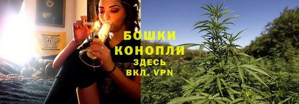 шишки Бронницы