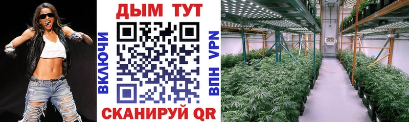 Купить где  Дмитровск  Бошки Шишки AK-47 